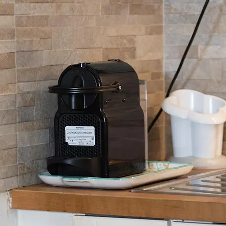Marci's Roma